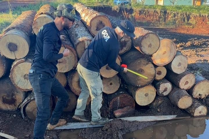 operacao-bioma-seguro-termina-com-r$-3,8-milhoes-em-multas-por-diversos-crimes-ambientais