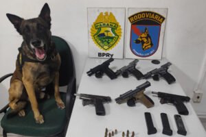 pmpr-apreende-seis-pistolas-em-onibus-em-operacao-de-combate-ao-trafico-de-armas-em-pirai-do-sul