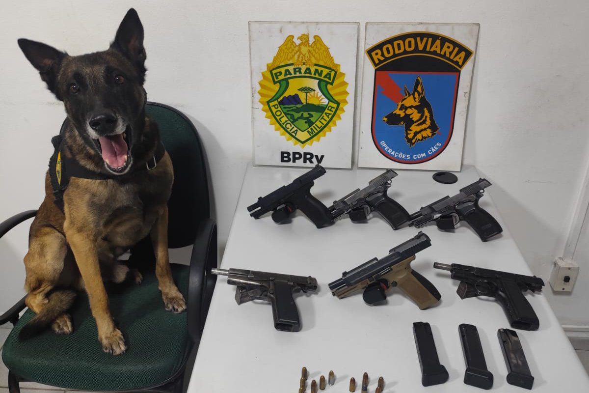 pmpr-apreende-seis-pistolas-em-onibus-em-operacao-de-combate-ao-trafico-de-armas-em-pirai-do-sul