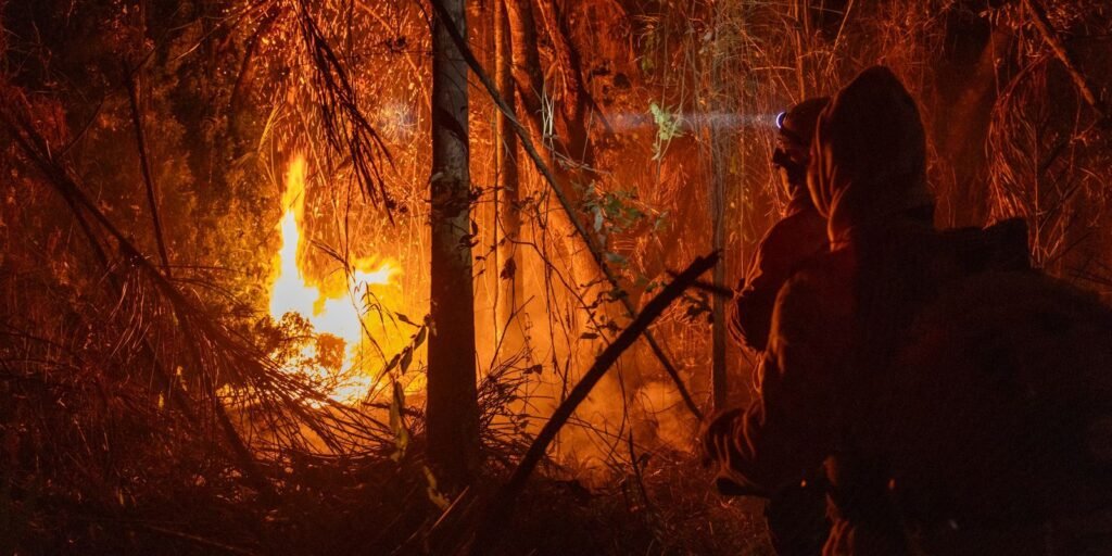 mp-libera-mais-de-r$-337-milhoes-para-combate-a-incendios-florestais