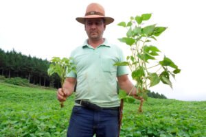 em-novo-edital,-sanepar-disponibiliza-1,5-mil-toneladas-de-biossolido-para-a-agricultura