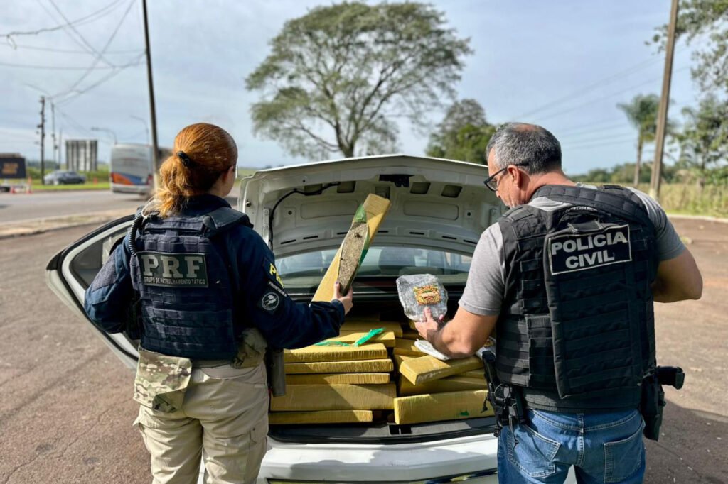 em-acao-conjunta,-pcpr-e-prf-apreendem-400-kg-de-maconha-em-santa-terezinha-do-itaipu