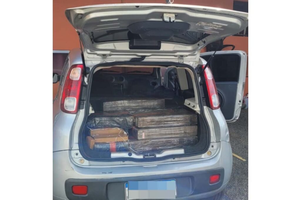 pcpr-apreende-400-quilos-de-maconha-em-candido-de-abreu-a-partir-de-denuncia-anonima