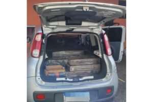pcpr-apreende-400-quilos-de-maconha-em-candido-de-abreu-a-partir-de-denuncia-anonima