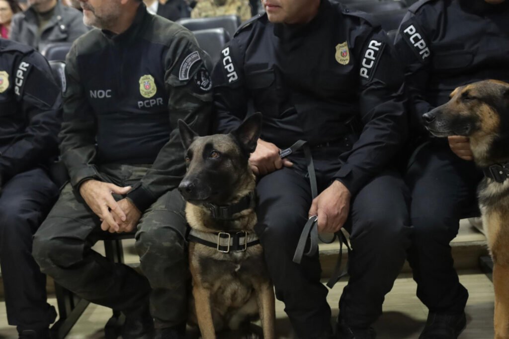 policia-civil-do-parana-apreende-armas-e-haxixe-na-rodoviaria-de-curitiba