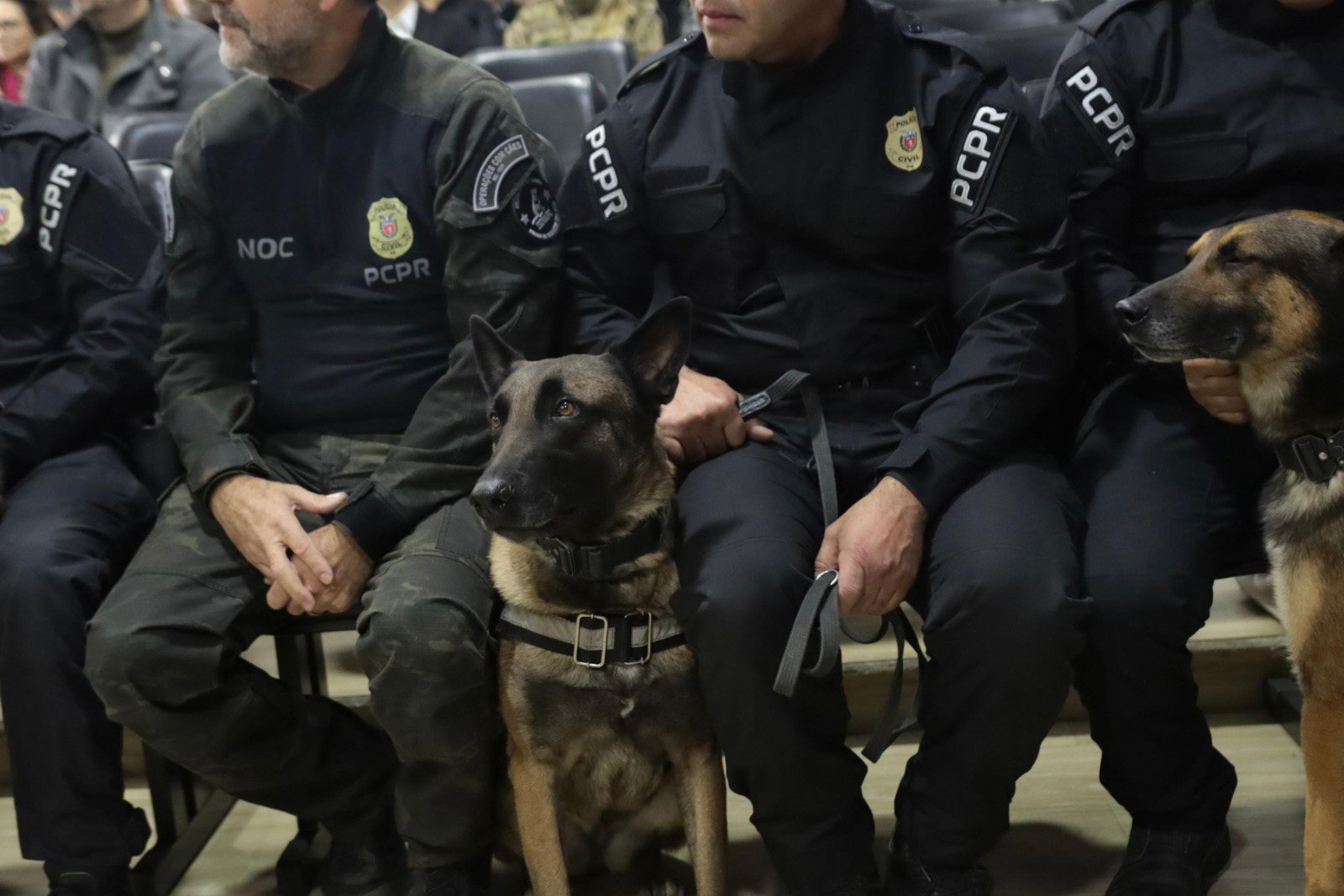 policia-civil-do-parana-apreende-armas-e-haxixe-na-rodoviaria-de-curitiba