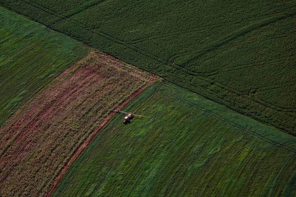 vbp-agropecuario-do-parana-cresce-13%-e-alcanca-r$-212,6-bilhoes-em-2025