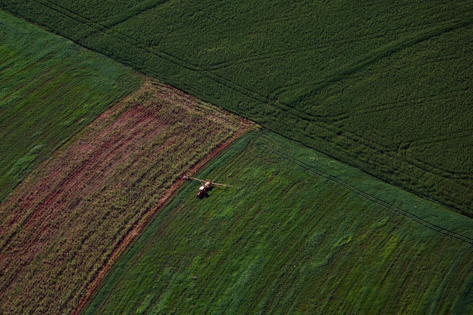 vbp-agropecuario-do-parana-cresce-13%-e-alcanca-r$-212,6-bilhoes-em-2025