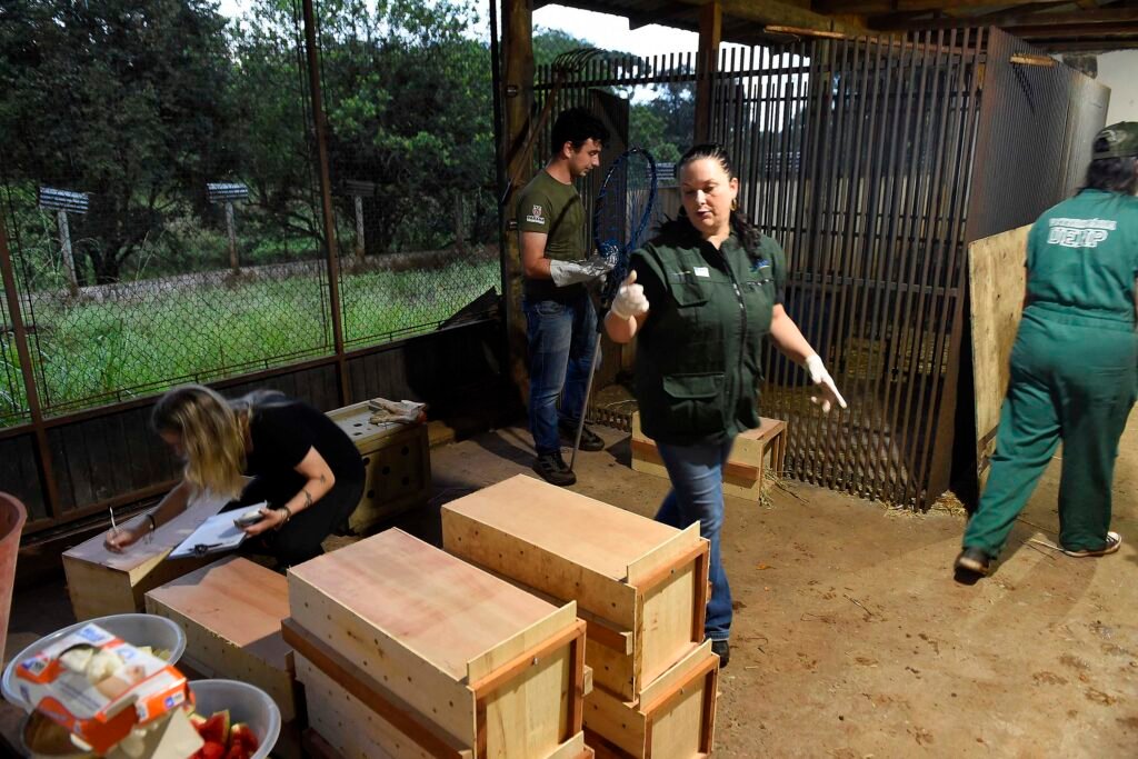 novo-canal-do-iat-registrou-mais-de-2,8-mil-denuncias-de-crimes-ambientais-em-4-meses