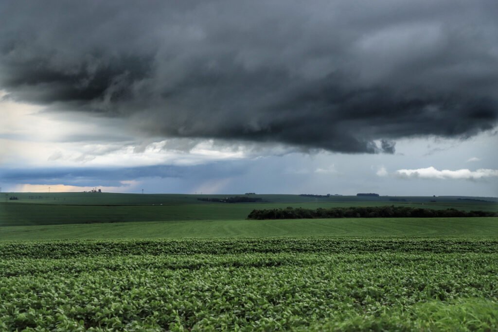 simepar-analisa-se-tornado-atingiu-comunidade-da-cidade-de-reserva-no-domingo