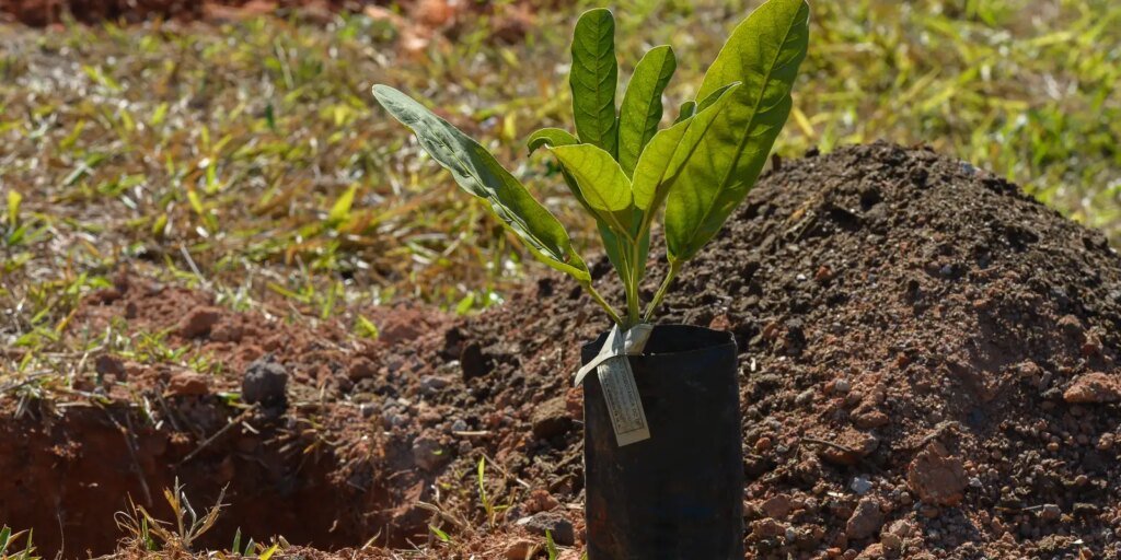 sesi-lab-inaugura-espaco-que-abriga-sistema-agroecologico-educativo