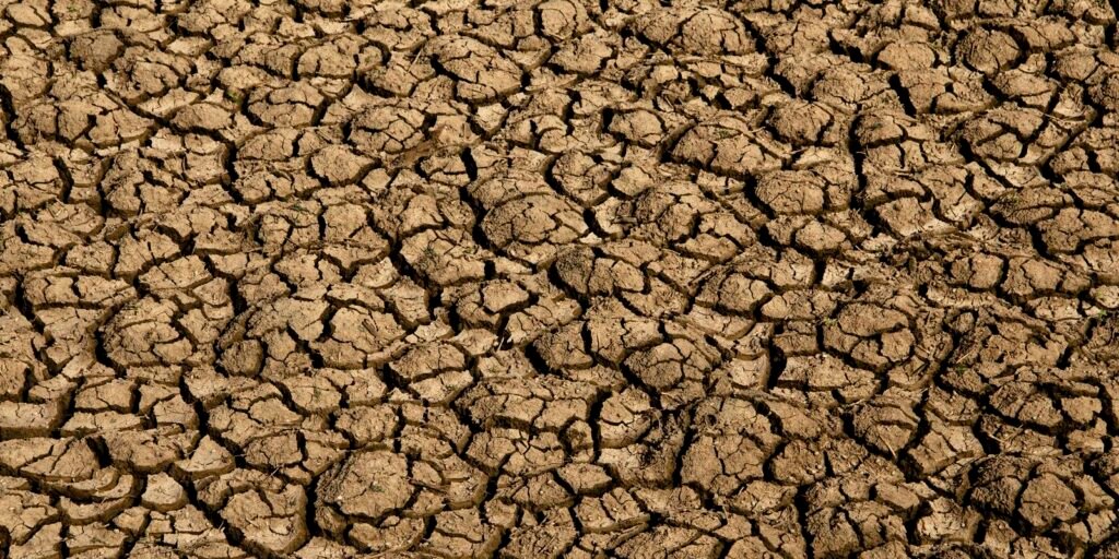 el nino:-entenda-o-fenomeno-que-intensifica-os-fenomenos-climaticos