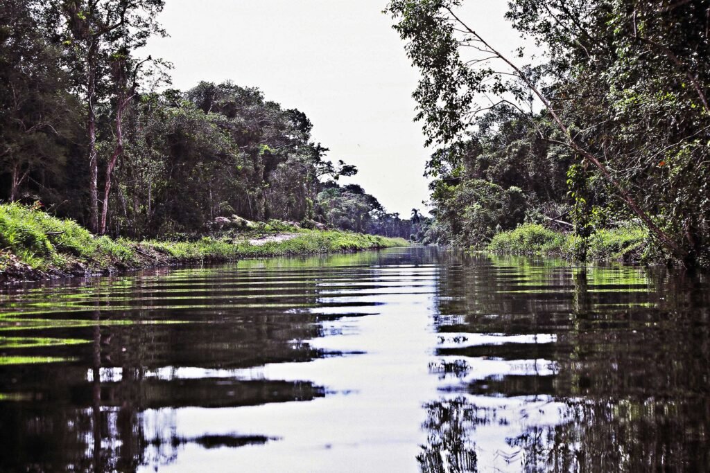 gestao-da-agua:-cbh-coaliar-promove-reuniao-para-validar-novos-investimentos