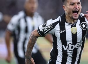 botafogo-vence-ldu-na-libertadores-com-gol-relampago