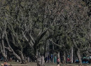 cidade-de-sao-paulo-tem-agosto-mais-seco-desde-2020