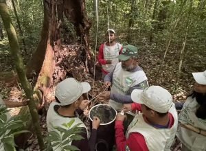 comunidade-de-marajo-participa-de-projeto-que-monitora-biodiversidade