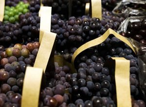 bndes-aprova-r$-1,2-bi-para-empresas-afetadas-pelo-tarifaco