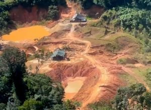 mpf-proibe-venda-de-mercurio-em-redes-sociais