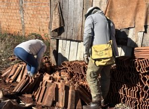 estado-e-prefeitura-de-cambara-se-unem-para-prevenir-acidentes-com-escorpioes