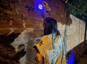 acoes-noturnas-resultam-na-captura-de-3,3-mil-escorpioes-na-regiao-de-jacarezinho