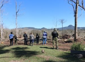 departamento-de-pericia-ambiental-acelera-resposta-do-parana-a-crimes-contra-fauna-e-flora