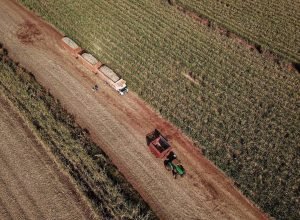 parana-cresce-tres-vezes-acima-da-media-nacional-em-agosto,-aponta-banco-central