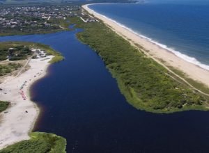 mapbiomas-aponta-que-mata-atlantica-perdeu-11,5%-de-area-em-40-anos