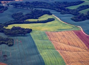 trf4-mantem-vitoria-do-parana-sobre-legislacao-ambiental-e-da-seguranca-aos-agricultores