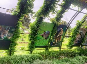 exposicao-“fauna-da-mata-atlantica”-entra-em-cartaz-no-jardim-botanico-de-curitiba