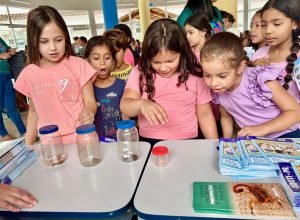 forca-tarefa-contra-escorpioes-mantem-mobilizacao-e-leva-orientacao-as-escolas
