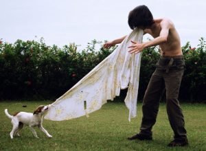 obras-do-mac-parana-chegam-a-cascavel-em-mostra-que-celebra-a-arte-contemporanea