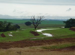 estado-apoia-reivindicacoes-para-amortizar-dividas-de-produtores-apos-temporais