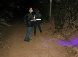 acoes-da-saude-no-norte-pioneiro-capturam-mais-de-5-mil-escorpioes-desde-agosto