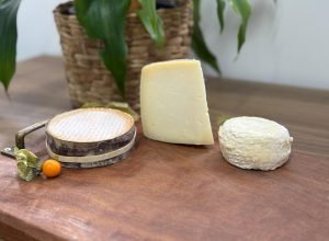 queijos-paranaenses-batem-produtos-de-50-paises-e-sao-premiados-no-mundial-da-suica