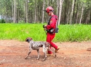 em-cianorte,-corpo-de-bombeiros-realiza-2a-certificacao-nacional-de-caes-de-resgate