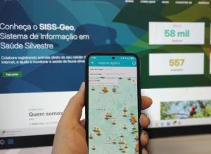 inteligencia-georreferenciada-mantem-parana-livre-de-casos-locais-de-febre-amarela