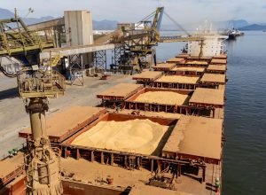 soja-responde-por-21%-da-movimentacao-e-lidera-exportacoes-no-parana