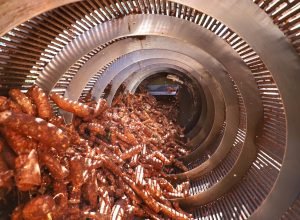 com-previsao-de-safra-recorde,-feira-em-paranavai-traz-novidades-na-area-de-mandioca