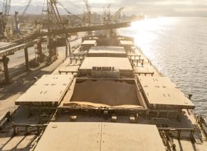 com-novo-calado,-porto-de-paranagua-registra-recorde-no-embarque-de-milho-em-um-navio