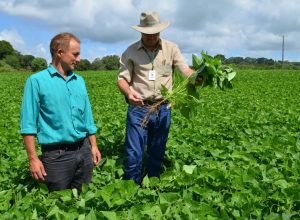 idr-parana-divulga-resultado-final-do-pss-com-173-novos-profissionais-na-extensao-rural