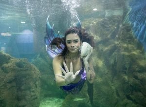 aquario-de-paranagua-tera-novos-animais-e-atracoes-especiais-para-a-temporada