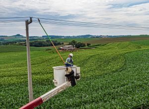 com-25-mil-km-de-novas-redes-rurais,-parana-trifasico-fortalece-a-agroindustria-com-energia-mais-potente-e-estavel