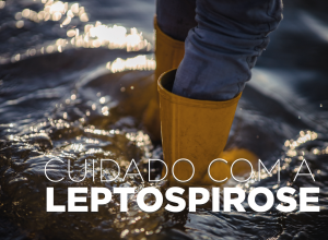 saude-alerta:-leptospirose-e-doenca-grave-e-risco-aumenta-apos-chuvas