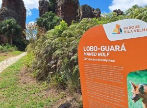 estado-fortalece-infraestrutura-turistica-com-obras,-sinalizacao-e-novos-equipamentos