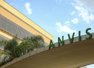 anvisa-proibe-produtos-a-base-de-alulose,-um-tipo-de-adocante;-entenda
