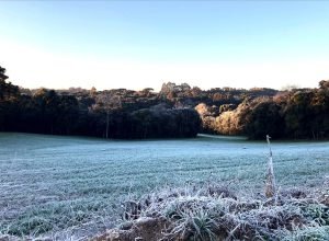 extremos-nas-temperaturas-e-tornados:-2025-registrou-dados-meteorologicos-historicos-no-parana