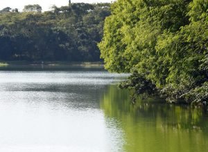 iat-emitiu-2.548-outorgas-para-o-uso-da-agua-no-parana-em-2025