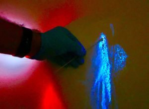 luminol-reforca-atuacao-da-policia-cientifica-a-identificar-vestigios-ocultos