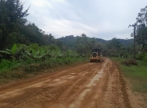 edital-de-estudos-ambientais-e-anteprojeto-da-estrada-de-guaraquecaba-tem-1o-resultado