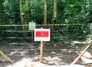 iat-fecha-dois-acessos-irregulares-no-pico-parana-para-reforcar-a-seguranca